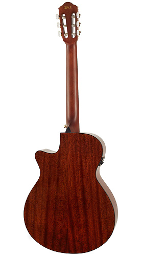 Ibanez AEG50N-BKH Электроакустическая гитара с нейлоновыми струнами.